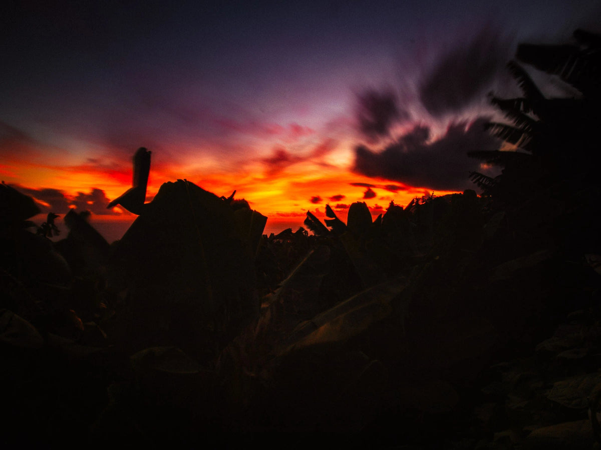 Golden Hour Glow Lightroom preset – after